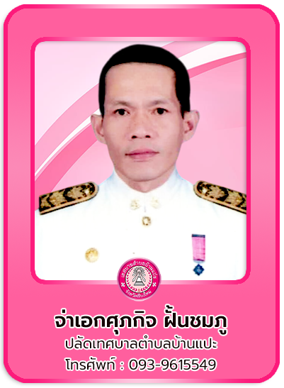 ปลัด